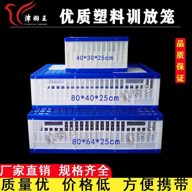 津羽王塑料训放笼塑料折叠放飞笼运输笼集训笼鸽子用品用具鸽具