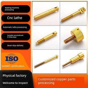 非标定做铜铁铝不锈钢钛合金螺丝定制螺母螺柱走心机自动车床加工