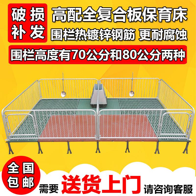 仔猪保育床围栏覆合漏粪板带电热板小猪保育栏猪床母猪产床定位栏