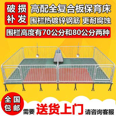 仔猪保育床围栏覆合漏粪板带电热板小猪保育栏猪床母猪产床定位栏