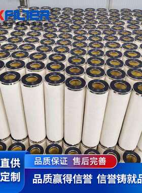 聚结滤芯PLF40H 1202846 分离滤芯1203126 PSE80H1航煤过滤器滤芯