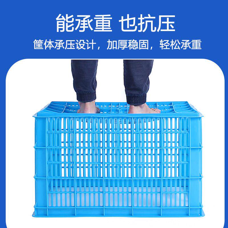 长方形塑料筐加厚大号蔬菜水果筐子快递周转筐白色胶框镂空周转箱