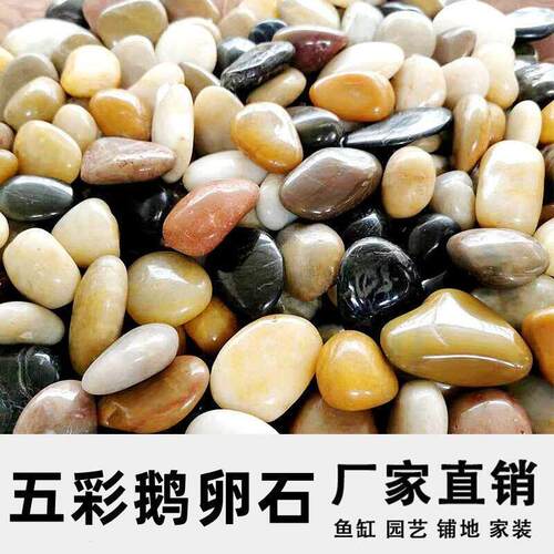 山东五彩鹅卵石石头铺地庭院造景装饰白色原石大小石子天然雨花石