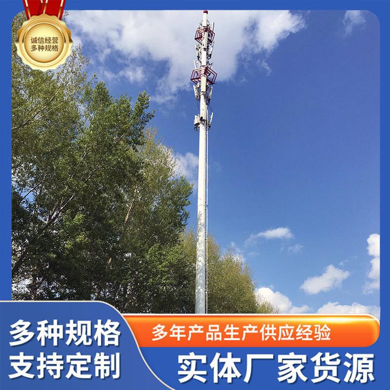 单管塔通信杆避雷杆电力钢管杆监控杆天线杆塔钢结构铁塔源头厂家