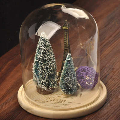 mxmade创意玻璃景观罩 DIY微观玻璃罩 微景观花瓶新奇特