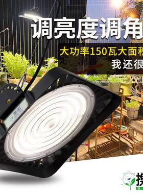 携阳150瓦植物补光灯彷太阳全光谱绿植花卉室内家用led植物生长灯