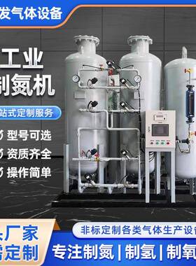 工业制氮机制氮机碳分子筛更换食品保鲜制氮机苏州制氮机厂家