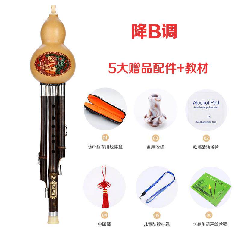 新款葫丝C南调降B调儿童初学成人学生入门零基础云乐紫竹芦葫芦丝