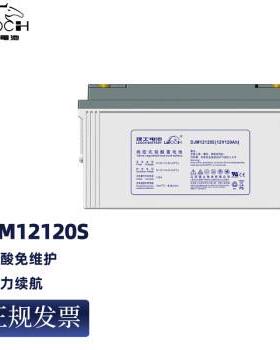 理士DJM12120S 12V120Ah铅酸免维护电池 通信机房EPS