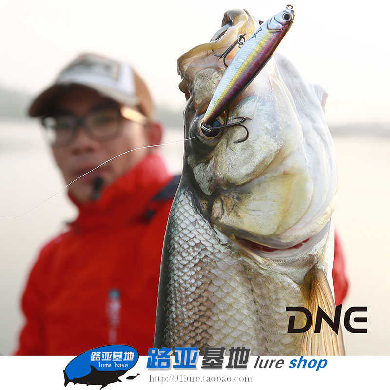 DNE去路亚新品五步蛇水面铅笔路亚饵超远投海鲈翘嘴鳜鱼假饵