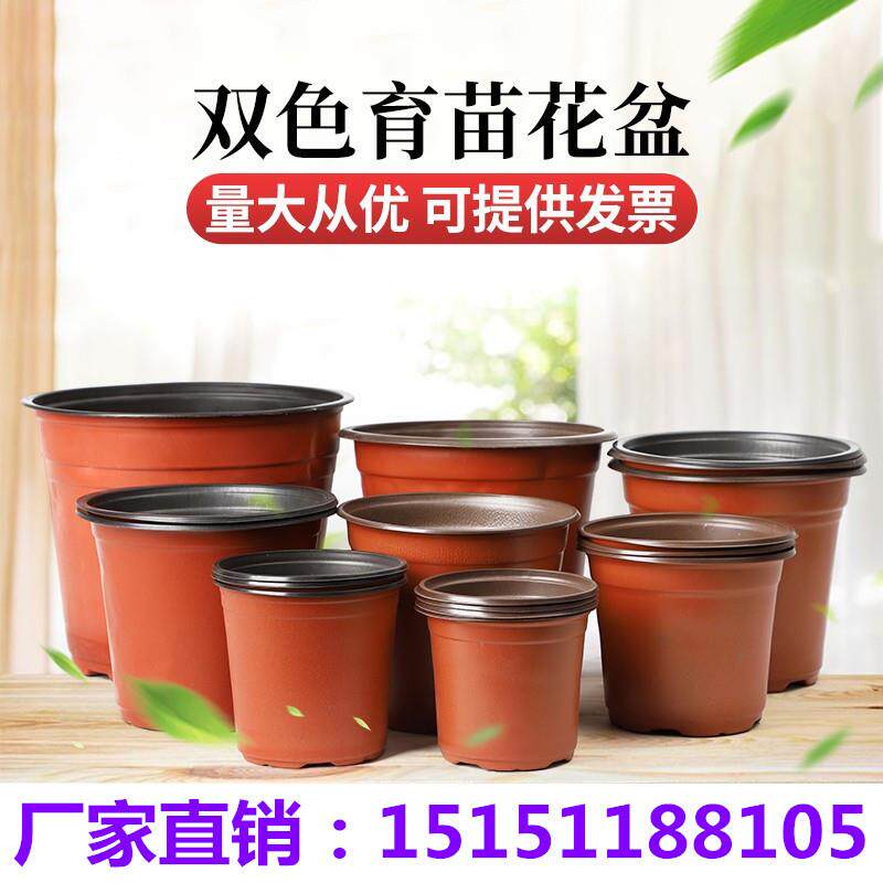 双色盆育苗花盆pp塑料花盆多肉盆一次性软塑盆绿植盆摔不坏苗圃盆