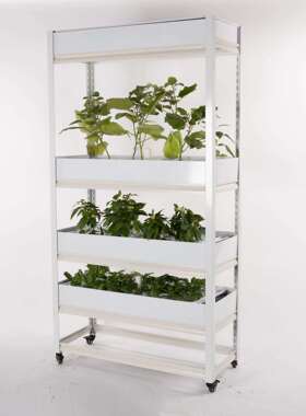 室内水培种菜机无土栽培种植机智能种菜机植物工厂设备厂家包邮