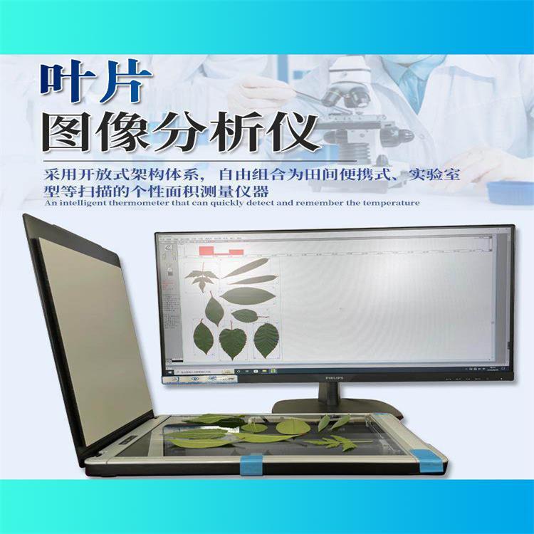 叶片图像分析仪叶片图像扫描仪叶片成像分析仪