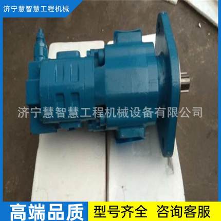 特惠供应宣工165-2推土机双联泵1V10043（5100各种泵 宣化配件