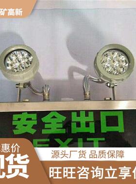 LED防爆应急灯 灯亮醒爆目LED防应急 抗震抗摔L急E238D防爆应灯