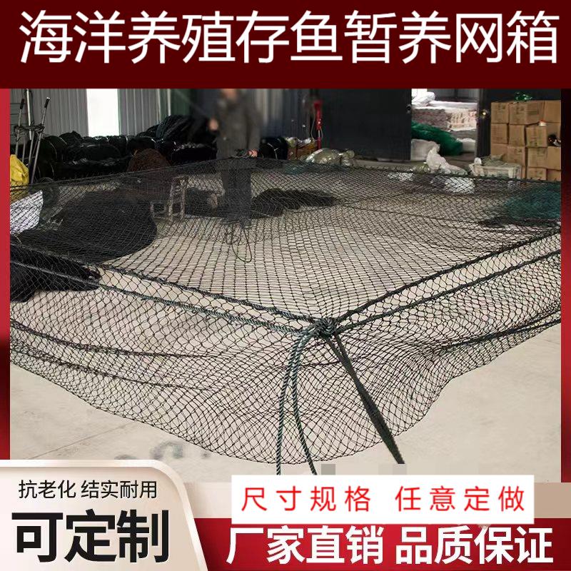 海洋养殖网箱黑色进口材质存鱼暂养拉网抬网拖网 吊网隔断网定做