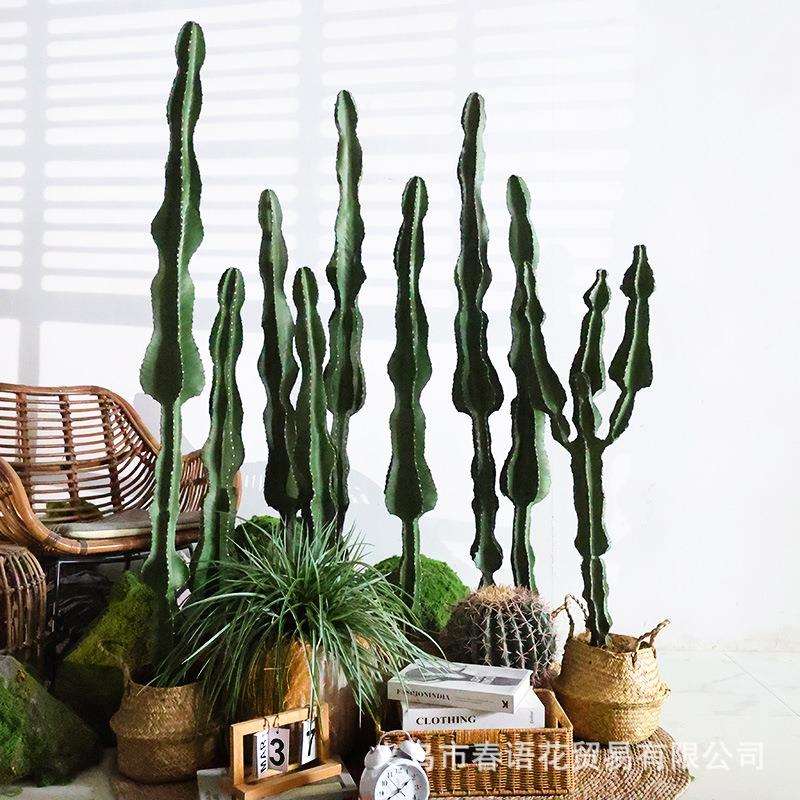 仿真假仙人掌绿植盆栽装饰花槽摆件拍照墙简约背景沙漠植物盆景