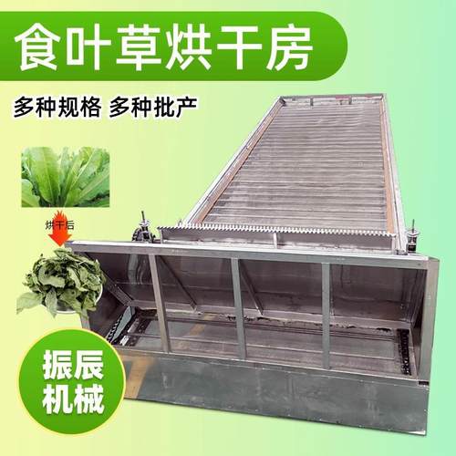 大型食叶草烘干机 带式蛋白草青草饲料加工烘干设备 蔬菜干燥机