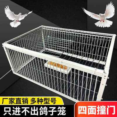 专用搭建农村室外鸡笼子家用室外防雨加厚加密雏鸡鸡场兔子笼家禽