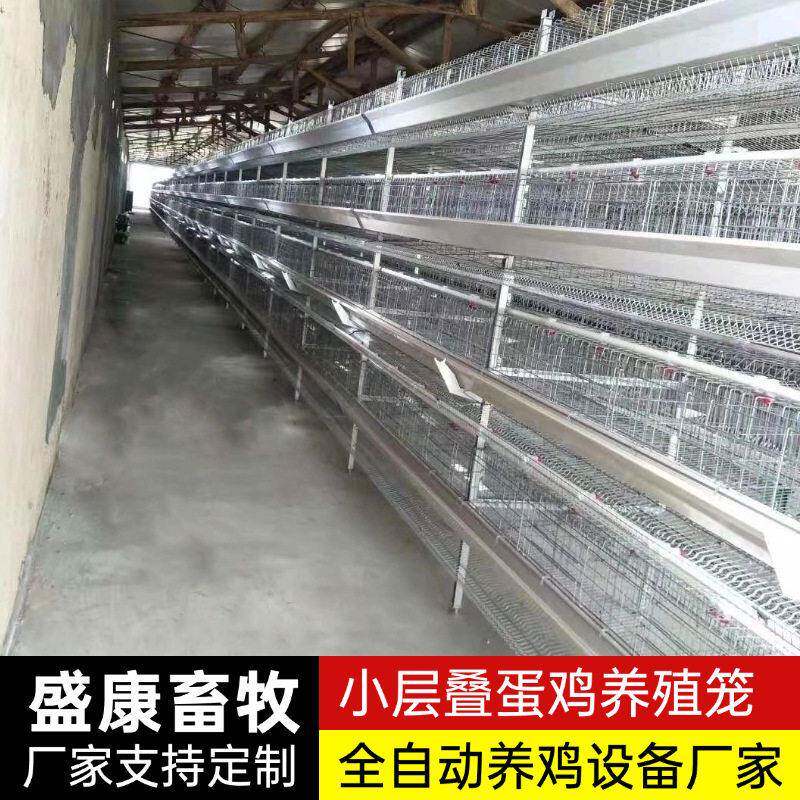 立式小层叠蛋鸡笼一体自动化养殖机械设备农场养鸡蛋鸡笼子鸡用