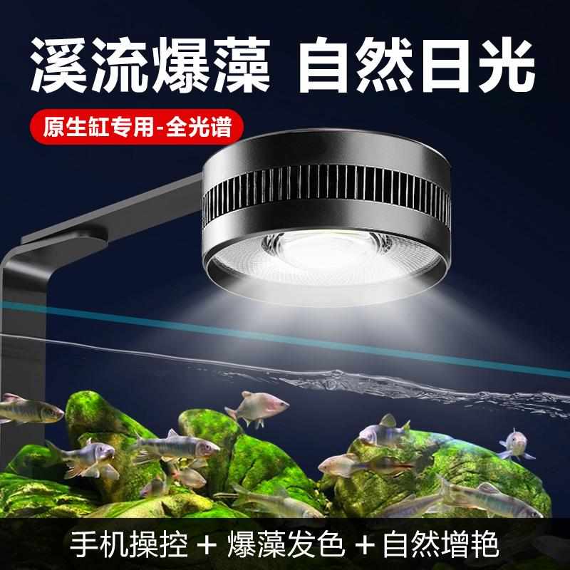 鱼缸灯原生溪流缸灯爆藻灯全光谱筒灯LED水草观赏鱼蓝吉罗专用灯