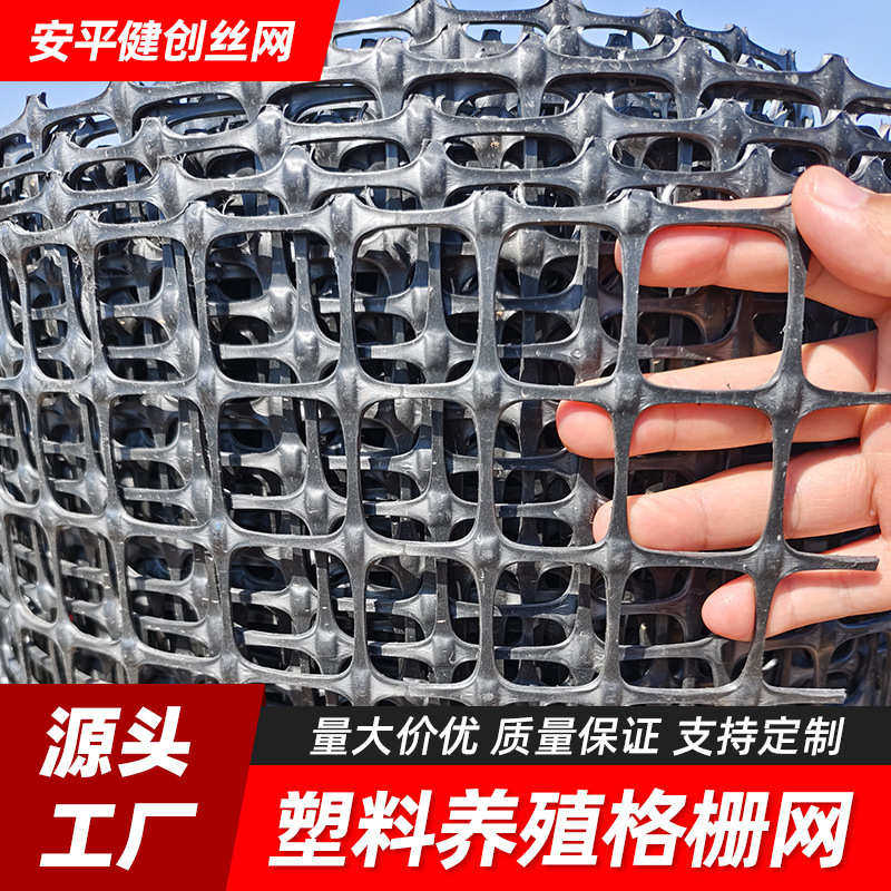 塑胶养殖围栏隔离防护网 养鸡鸭养殖网户外格栅玉米网加厚1-6高
