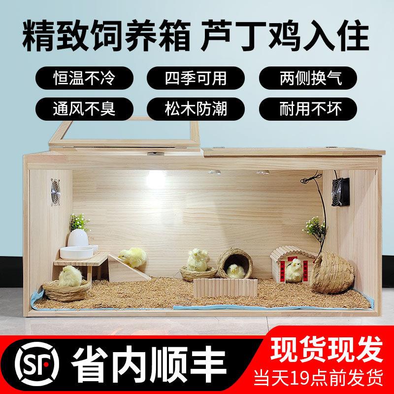 芦丁鸡宠物饲养箱卢丁专用育雏恒温箱鹦鹉鸡鹌鹑养殖箱幼鸟保温箱
