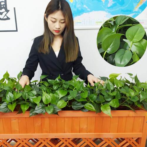 绿色植物套装组合假花盆栽隔断花盒餐厅装饰花墙绿色植物彷生园林