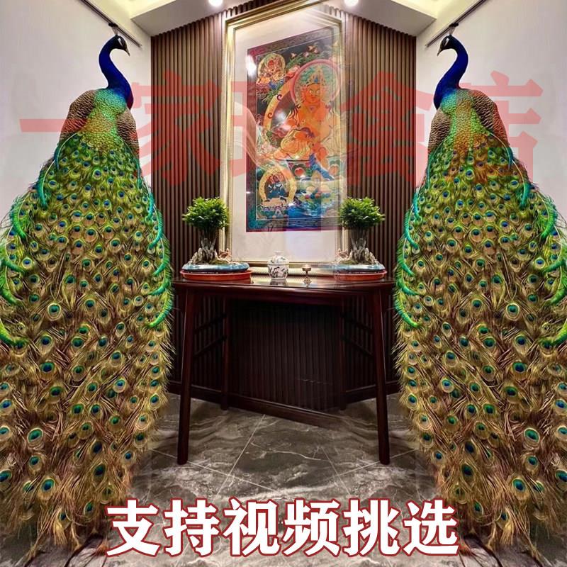 孔雀标本摆件真实羽毛动物新年客厅装饰落地工艺礼品根雕道具模型