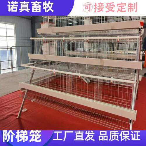 3层4门阶梯蛋鸡笼养殖工厂阶梯型A型鸡笼热镀锌
