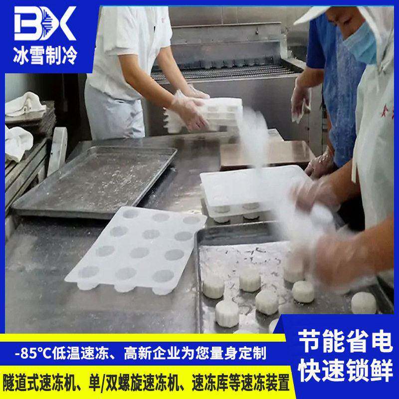 广东供应隧道式速冻机饺子包子低温速冻设备食品网带式速冻机