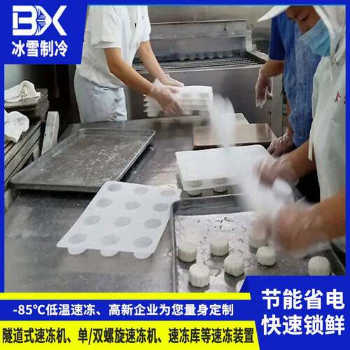 广东供应隧道式速冻机饺子包子低温速冻设备食品网带式速冻机