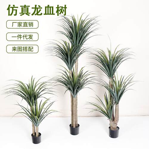 仿真龙血树大型落地假绿植盆栽室内客厅装饰摆件龙舌兰假植物造景