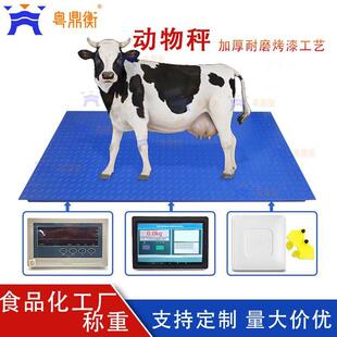 RFID耳边识别称重系统电子动物秤耳边识别地磅秤带智能触屏