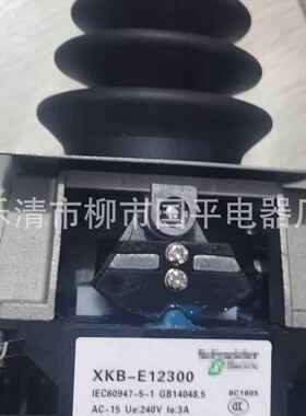 主令开关1XKB-E2300设备单双机构主令控制器操纵杆柄NEE手XKEB123