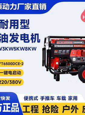 YT7800DCE-2电启动三相7千瓦移动式小型汽油发电机车载