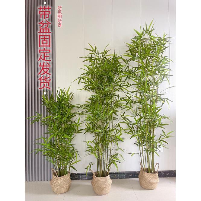 彷真假竹子装饰客厅茶室专用彷生竹子新中式植物盆栽彷真竹子造景
