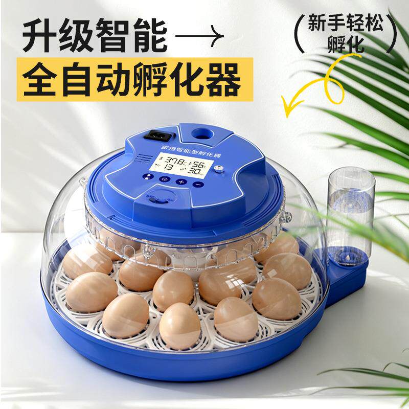 孵化器小型家用全自动小鸡孵化机智能小飞碟鹦鹉芦丁鸡鸟蛋孵蛋器