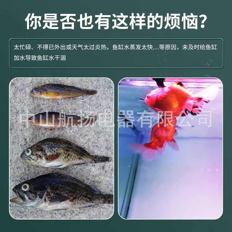 jebatojebao静音补水-宝水器150捷 全自动补