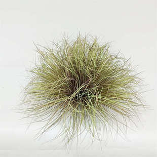 芒草仿假草堆隔断植芦苇野装饰品真草草造景草丛假批发蒲草草垛绿