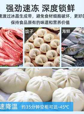 商速冻984柜急冻用冰箱包子饺子急柜零下4冻5度冻速速冻机冻海鲜