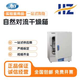 9051A 上海一恒 DHG 9031A 9091A自然对流 干燥箱实验室DHG