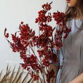 饰摆饰 家居样板间树枝装 新年宵花材永生红色蝴蝶花干 干燥花中式