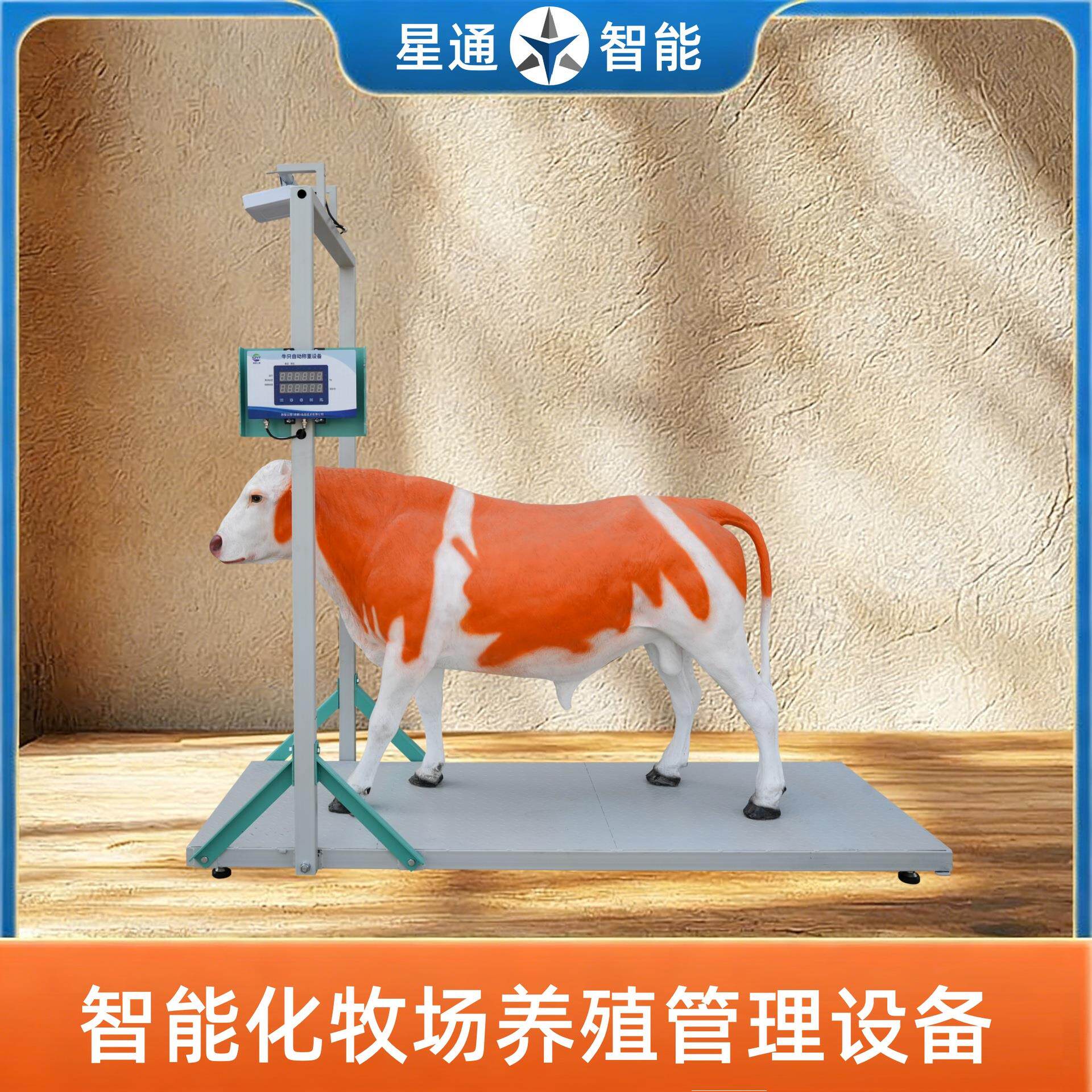 牧场牛羊智能称重饮水终端4G云端数据上传全自动饮水称重设备