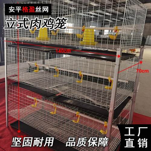 肉鸡框架笼源头厂家直营鸡笼肉鸡蛋鸡