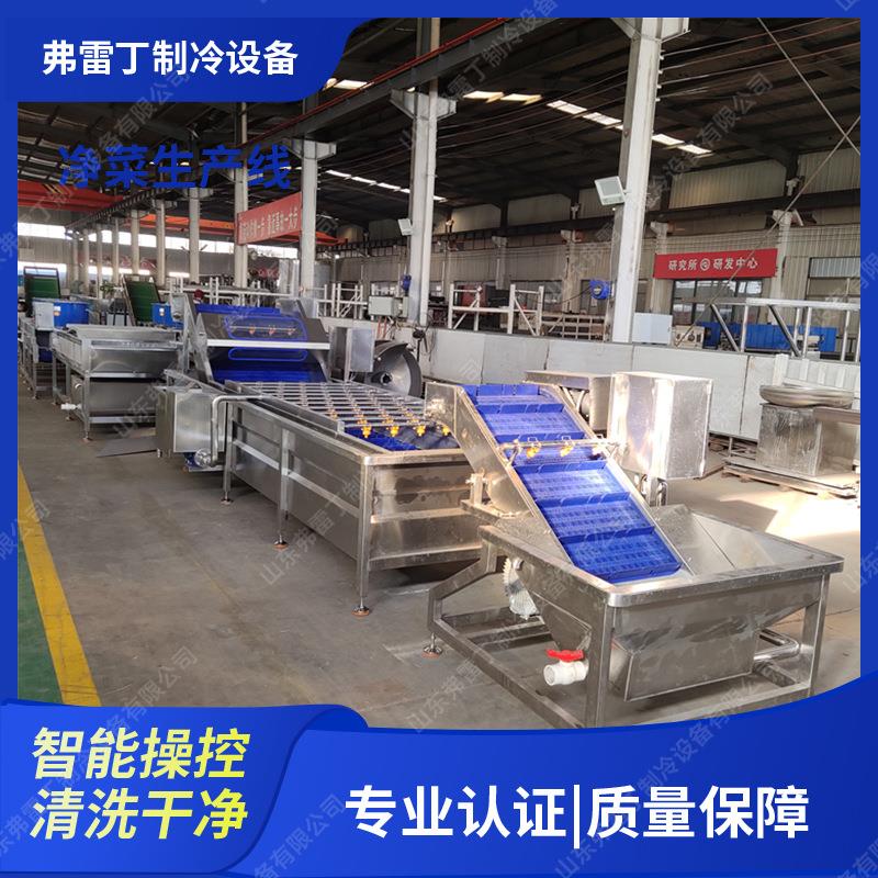 油菜气泡清洗机果蔬净菜生产线西红柿清洗设备净菜生产流水线