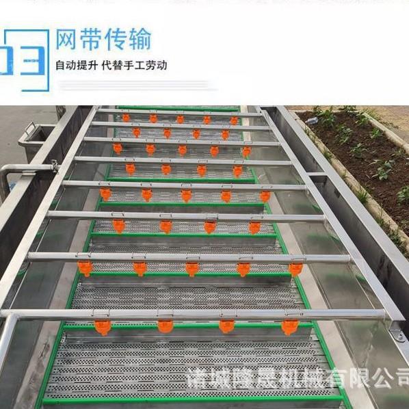 家用山楂冲浪式气泡清洗机 石榴专业水浴式自动清洗 无损坏