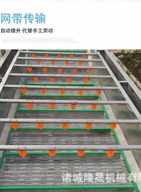 萝卜清LAM全自动滚式洗机 胡萝卜专淋业翻去泥机 萝卜高压喷式清