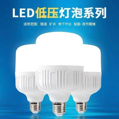 低压直流12v24v36V48伏led灯泡E27螺口节能交流电瓶工地太阳能灯
