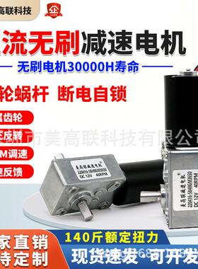 直流减速无刷电机12V24V蜗轮蜗杆双轴5840-3650微小型可调速马达